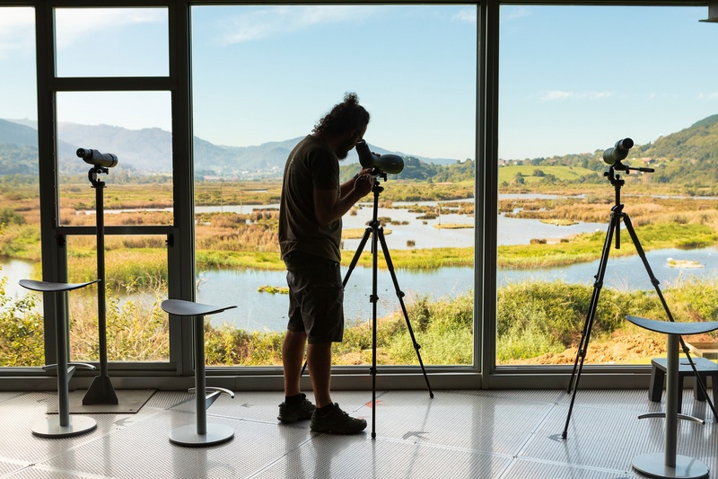 Euskadi_Bizkaia_Urdaibai_Bird_Center.jpg