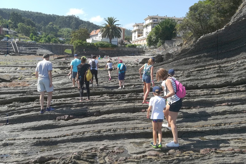 01Flysch.jpg